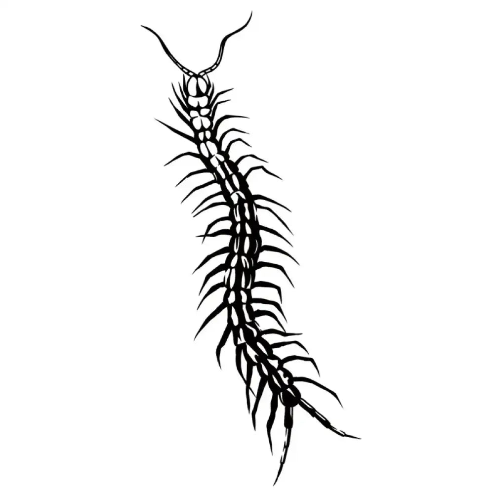 Black and white line drawing of centipede tattoo design