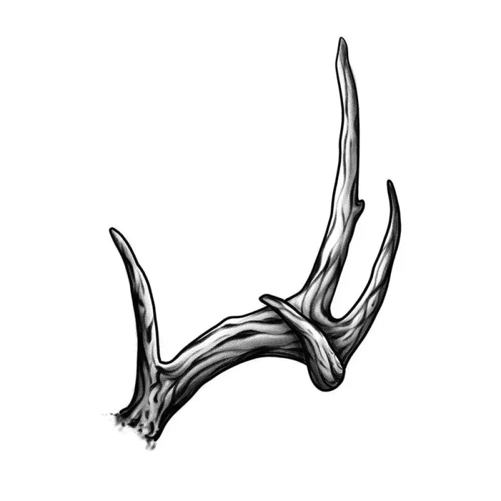 Single shed deer antler with three tines, ideal for tattoo sticker or small tattoo designs