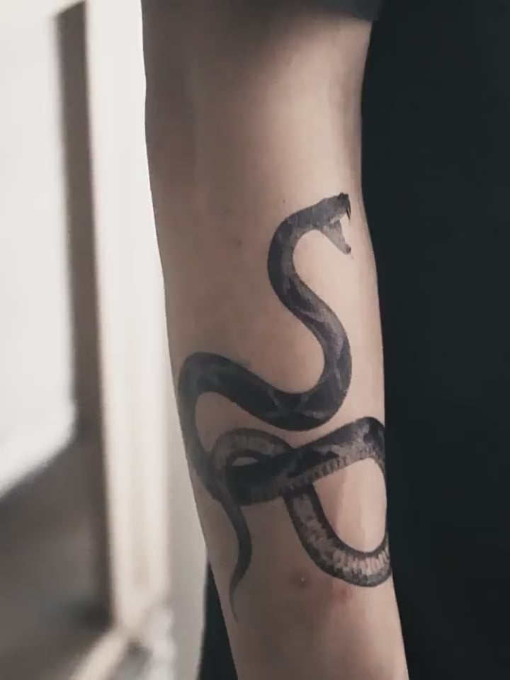 再变 别惹我盘蛇纹身贴花臂男女防水持久彩色款蛇酷性感原创女男包邮